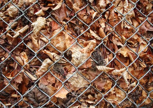 Autumn dead leaves behind metal grid fence
