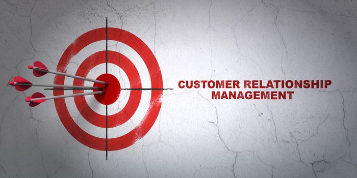 Success advertising concept: arrows hitting the center of target, Red Customer Relationship Management on wall background, 3D rendering