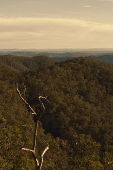 View from Mount Glorious during the afternoon near Brisbane, Queensland.