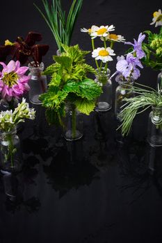 Small glass bottles with medicinal plants and flowers on a dark background