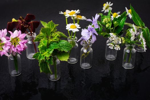 Small glass bottles with medicinal plants and flowers on a dark background