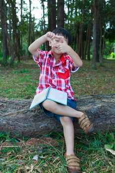 Handsome asian boy making frame with hands and smiling on wooden log in national park. Outdoors in the day time with bright sunlight. Children planning and education concept.