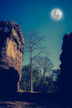 Boulders against beautiful sky and full moon over tranquil nature. Idyllic rural view of pretty surroundings. The moon taken with my own camera, no NASA images used. Cross process and vintage tone.