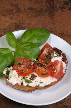 Bruschetta with ricotta and cherry tomatoes seasoned   spices, basil