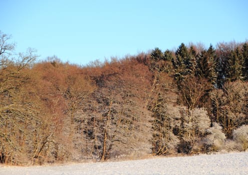 Snowy winter landscape with snow covered field and  forest