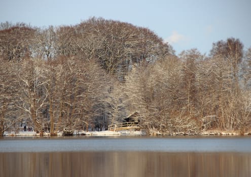 Winter forest and lake with snow and house at shore