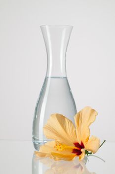 The vase with clean water and hibiskus flower on a glass table