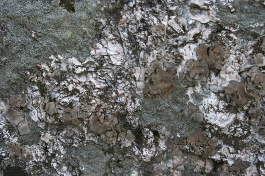 rocks closeup