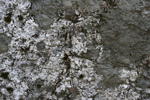 rocks closeup