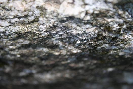 rocks closeup