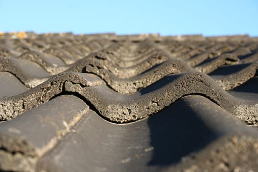 roof from below