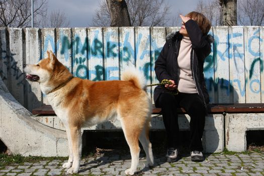 Lady with Akita Inu watch overflight sitting in front of graffiti