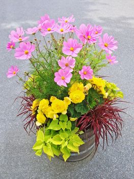 Beautiful floral arrangement with yellow begonias and pink cosmos flowers.