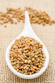 Fenugreek seeds in white spoon on sack background.