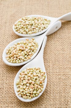 buckwheat groats and white spoon on sack background.