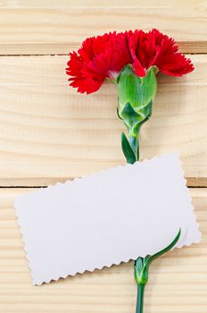 Blank greeting card with Carnation flowers on wooden background, Ready for your text or message.