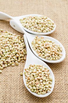 Buckwheat groats in white spoon on sack background.