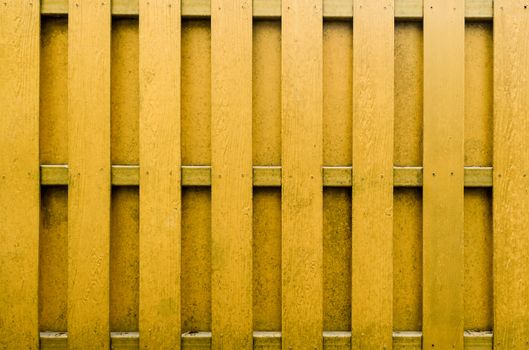 yellow wooden fence background.