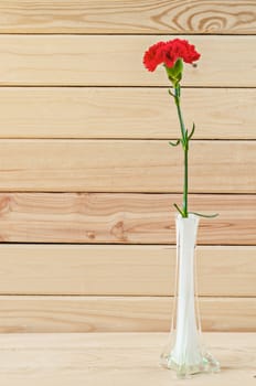 Beautiful red carnation in a white vase on wooden background.