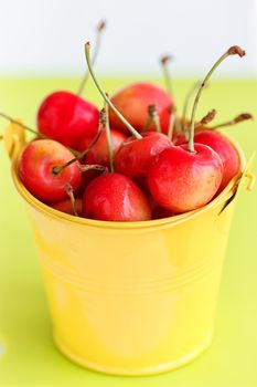 cherries in a yellow bucket on a blue background