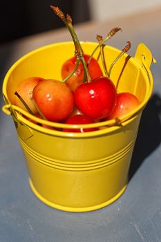cherries in a yellow bucket on a blue background