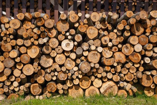 stack of firewood on the grass