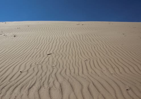 Sand Dune with Wind Pattern and Empty Blue Sky