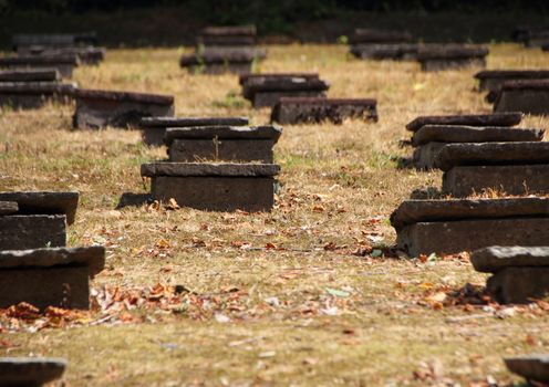 Headstones in Ancient Moravian Graveyard in Backlight