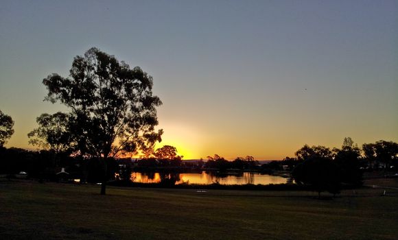 Sunset with tree and blue sky