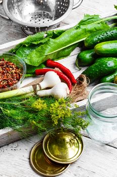 yield of cucumber,pepper,spices and fennel for pickling