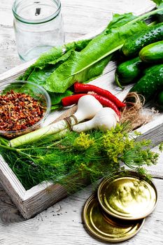 yield of cucumber,pepper,spices and fennel for pickling