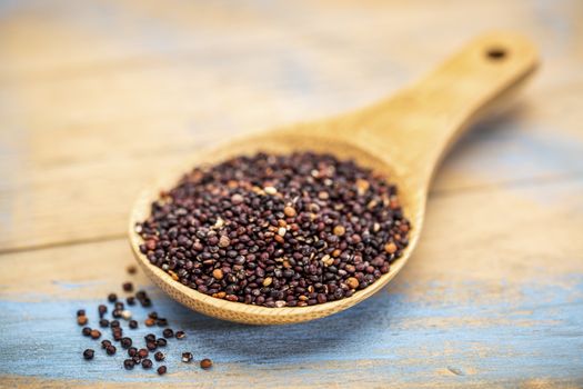 gluten free black quinoa grain on a wooden spoon against blue painted grunge wood