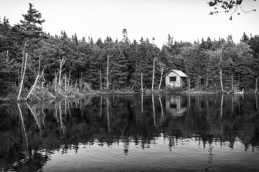 Small house in the woods adjacent to a small lake