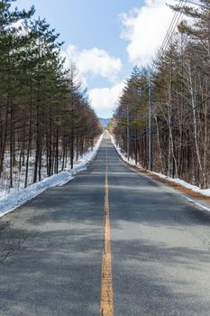 Icy road in a forest at day