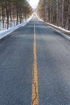 Winter road and forest