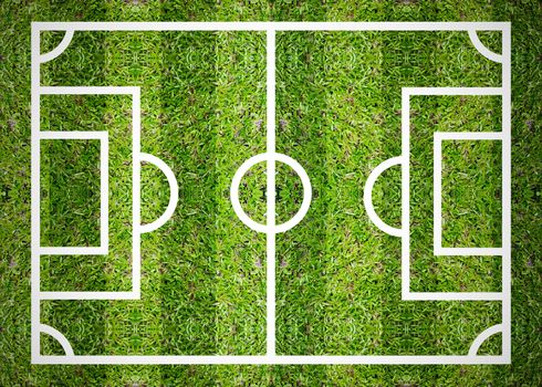Green soccer or football field top view