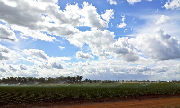 Farm with bright blue sky