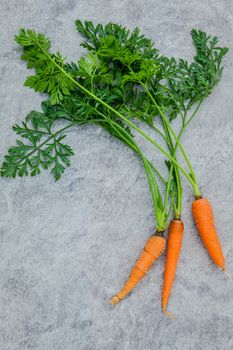 Fresh carrots bunch on dark concrete background. Raw fresh carrots with tails. Fresh organic carrots with leaves. Bunch of fresh carrots with green leaves dark concrete background.
