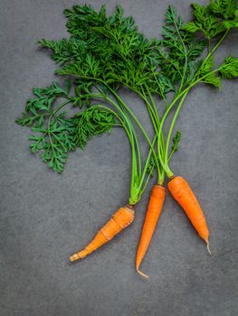 Fresh carrots bunch on dark concrete background. Raw fresh carrots with tails. Fresh organic carrots with leaves. Bunch of fresh carrots with green leaves dark concrete background