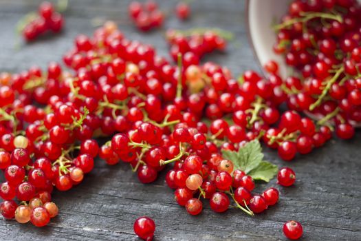 Fresh and juicy red berries on a dark wooden background