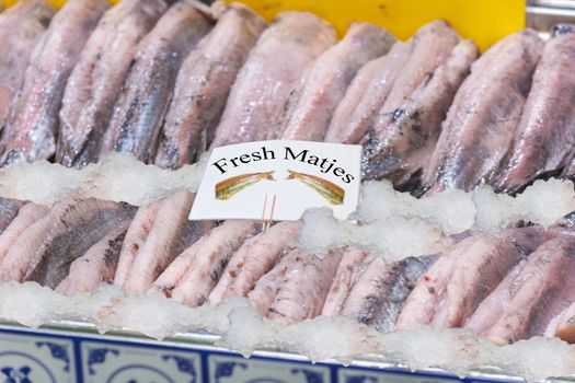 Fresh Matjes fish on ice cooled to the fish market.