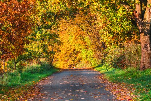 Highway in the sunshine in autumn in Velbert Germany.