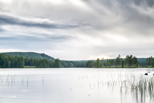 Lake with Forest and a cloudy sky.