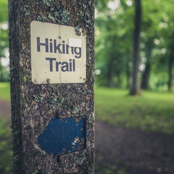 Rustic Hiking Trail Sign On A Wooden Post In A Forest