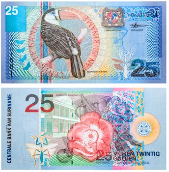 Banknote 25 Gulden Suriname front and back isolated on white emitted on 2000. Red-billed toucan on front and a flower on back