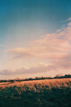 Color film image of nature scene in Maidencraig, Aberdeen