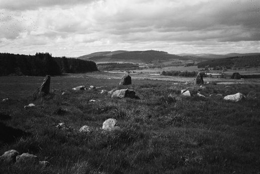 Black and white film image of meadow and forrest in Eslie, Durris, Aberdeenshire