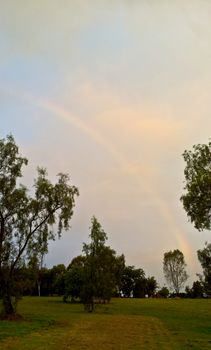 Rainbow with trees and blue sky