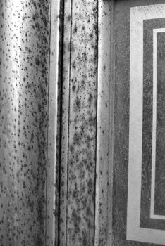 Close-up black and white image of a door