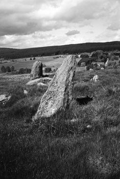 Black and white film image of meadow and forrest in Eslie, Durris, Aberdeenshire